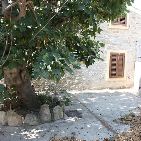 Bouganville 度假居