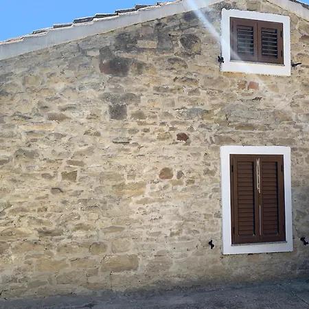 Bouganville * Villanovafranca